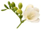 img_2.png