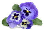 img_3.png