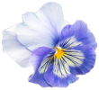 img_5.png