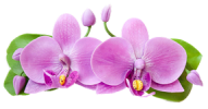 img_6.png